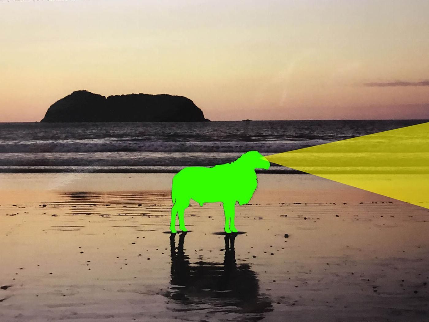 Borrego Limón