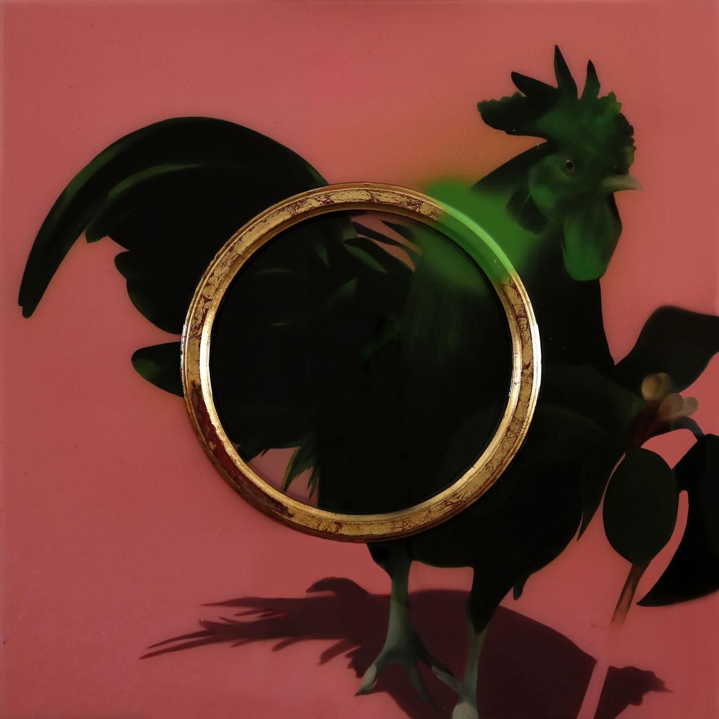 Coq de Combat | Manu Munoz