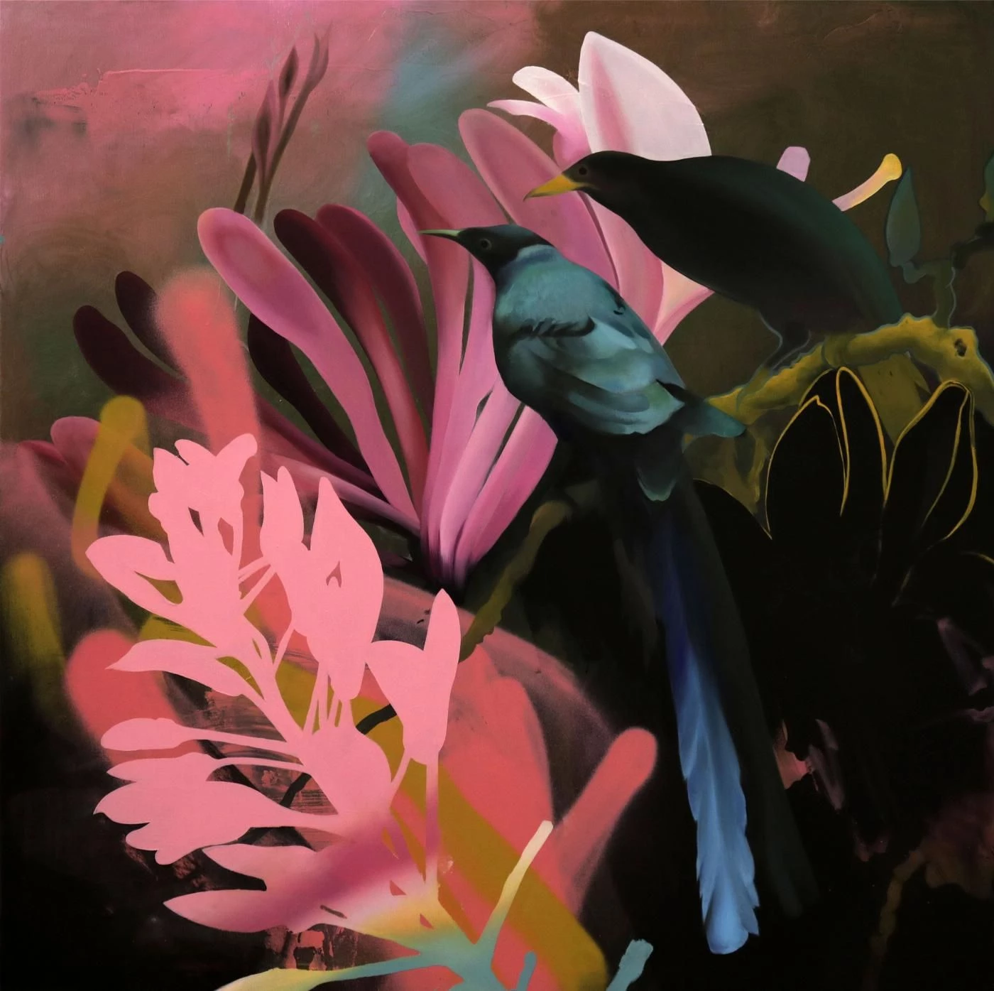 Sunbirds | Manu Munoz