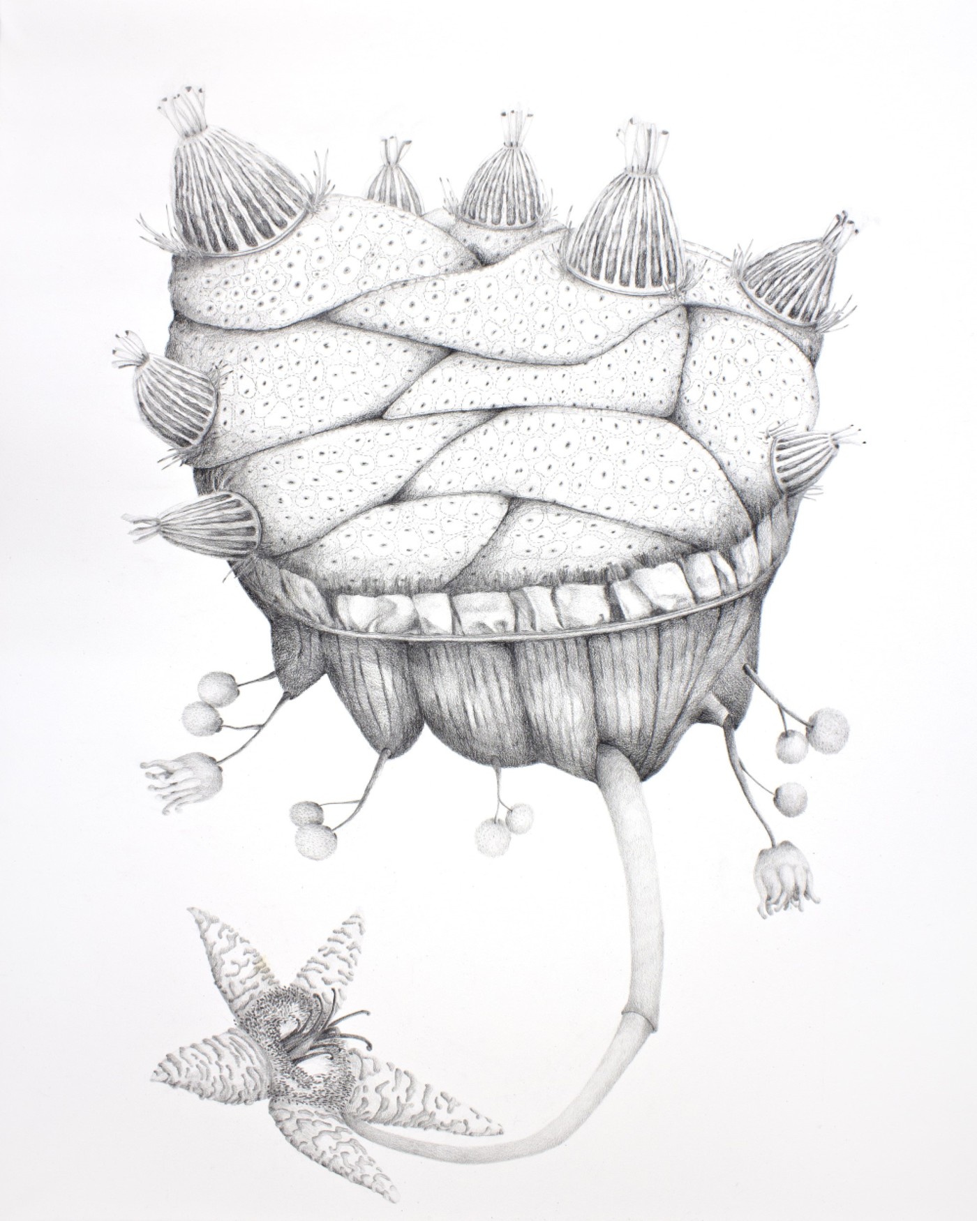 Paisaje sigiloso