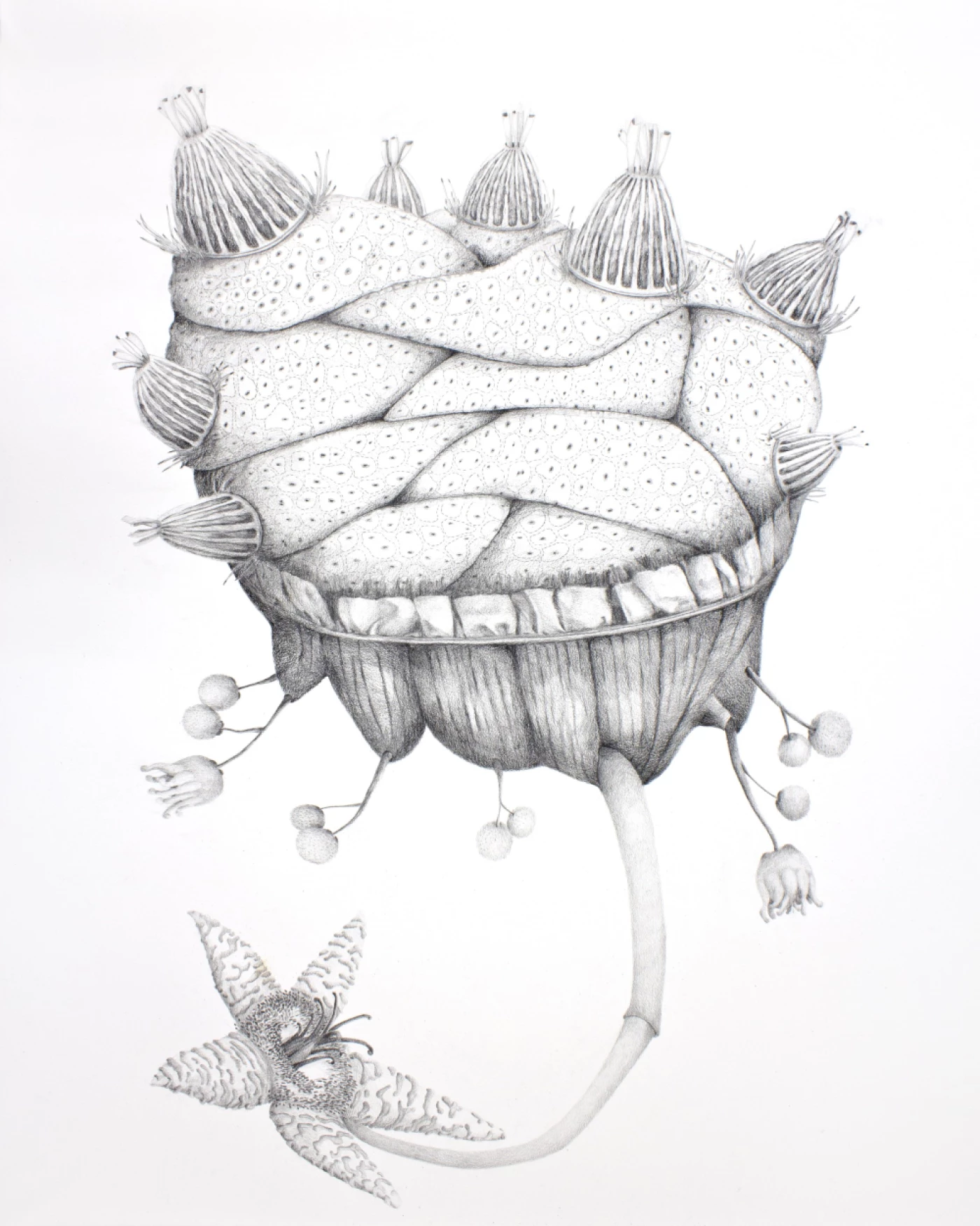 Paisaje sigiloso