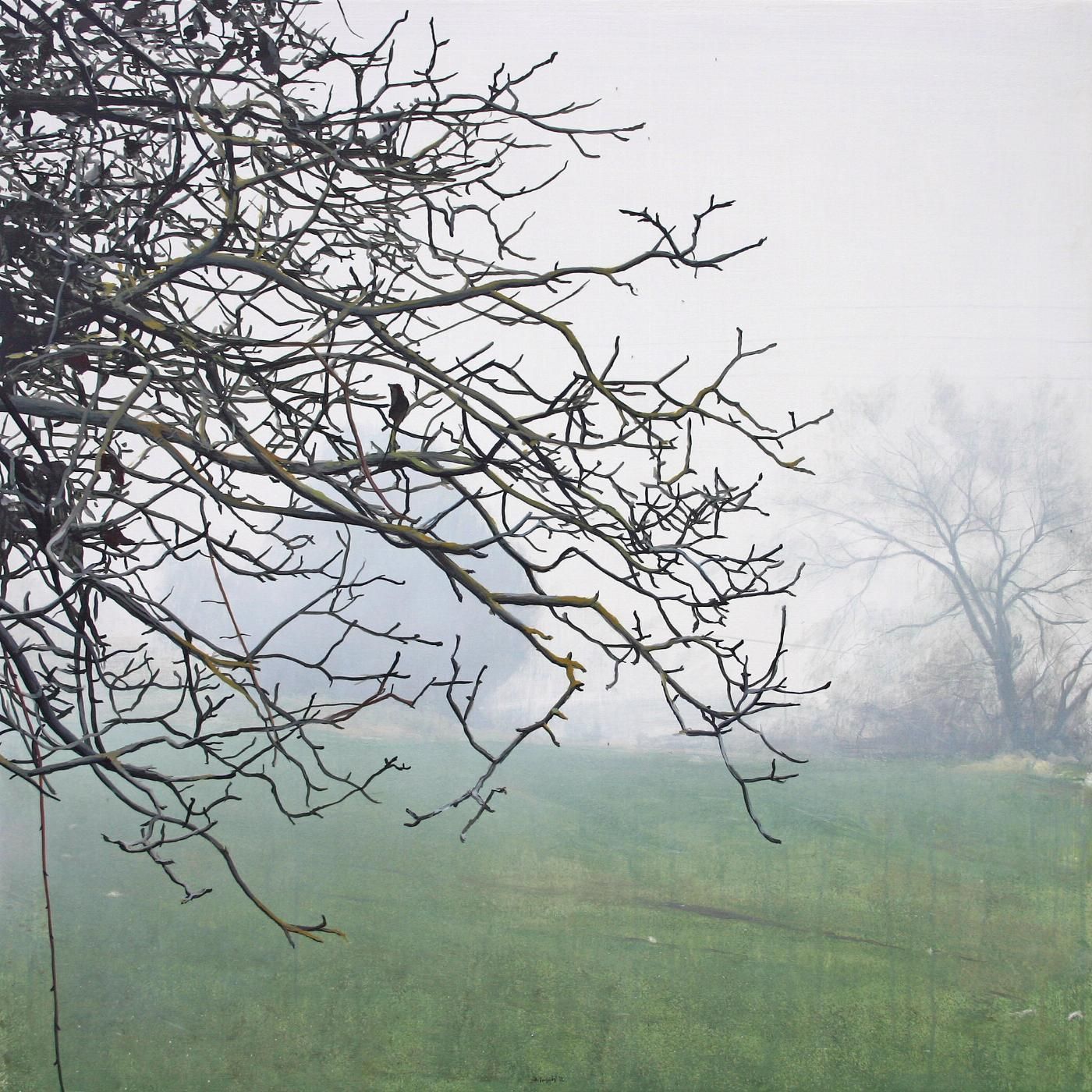 Brume II
