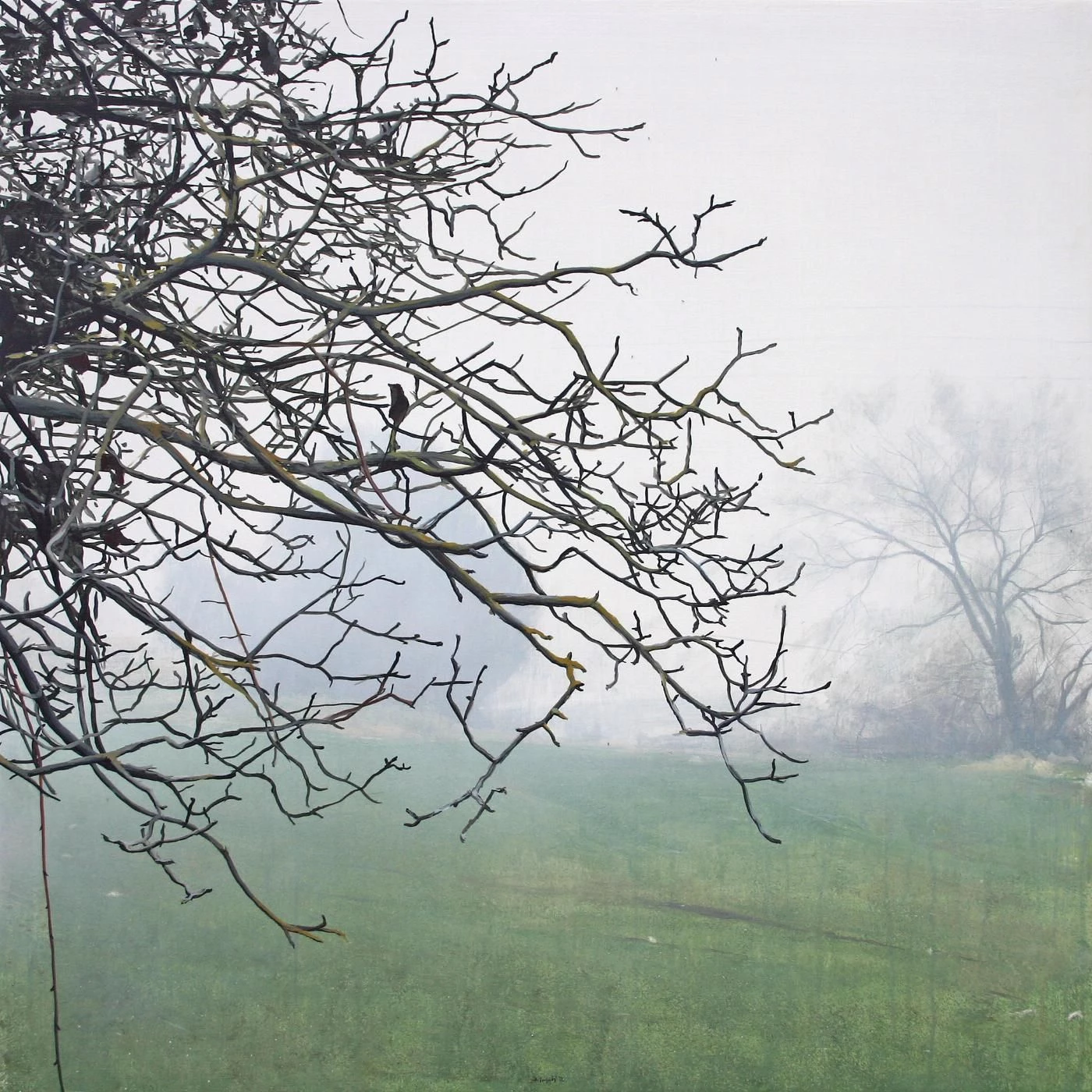 Brume II | David Casals Moreno