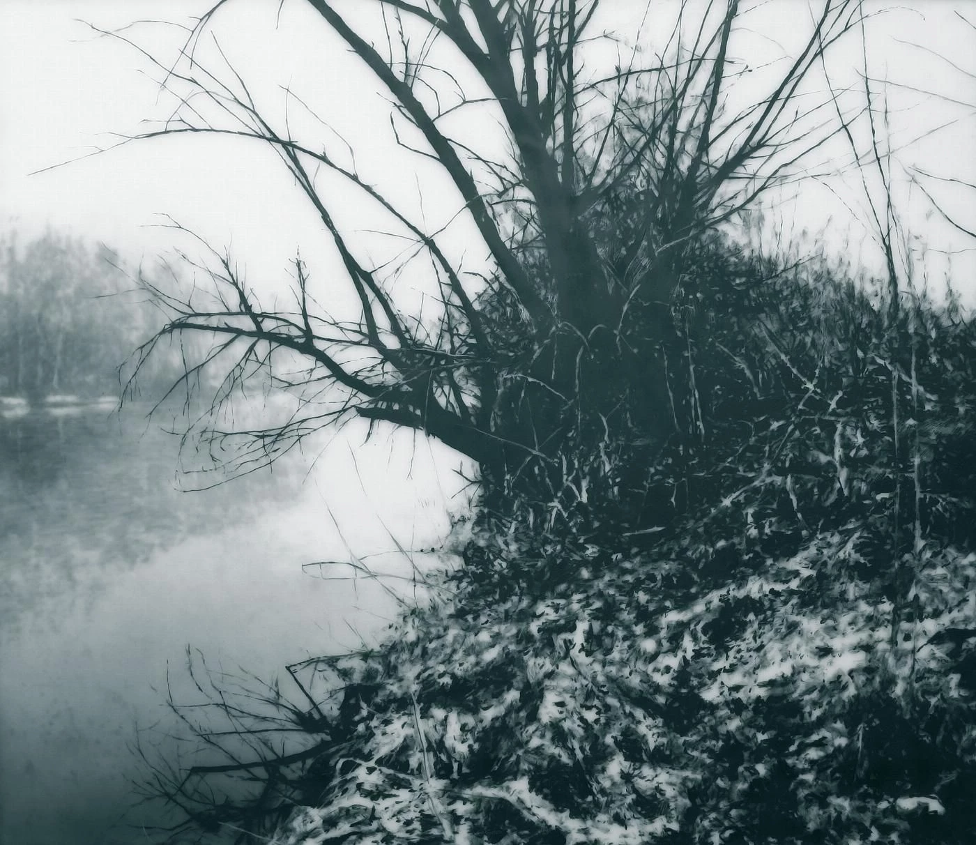 Mémoire de brouillard sur la rivière | David Casals Moreno