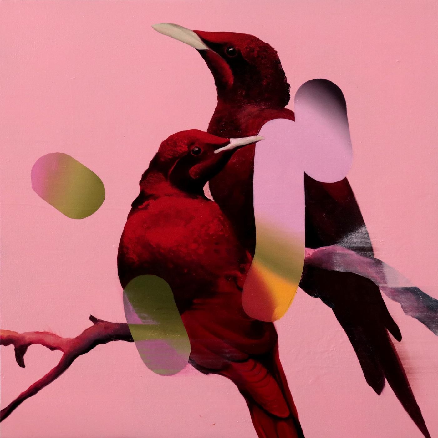 Starling (Red)