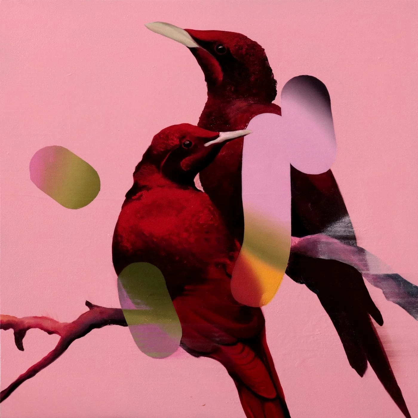 Starling (Red)