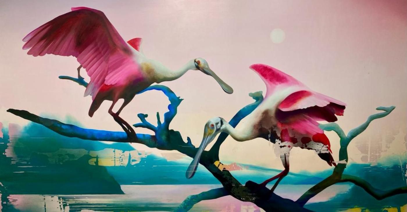 Spoonbills