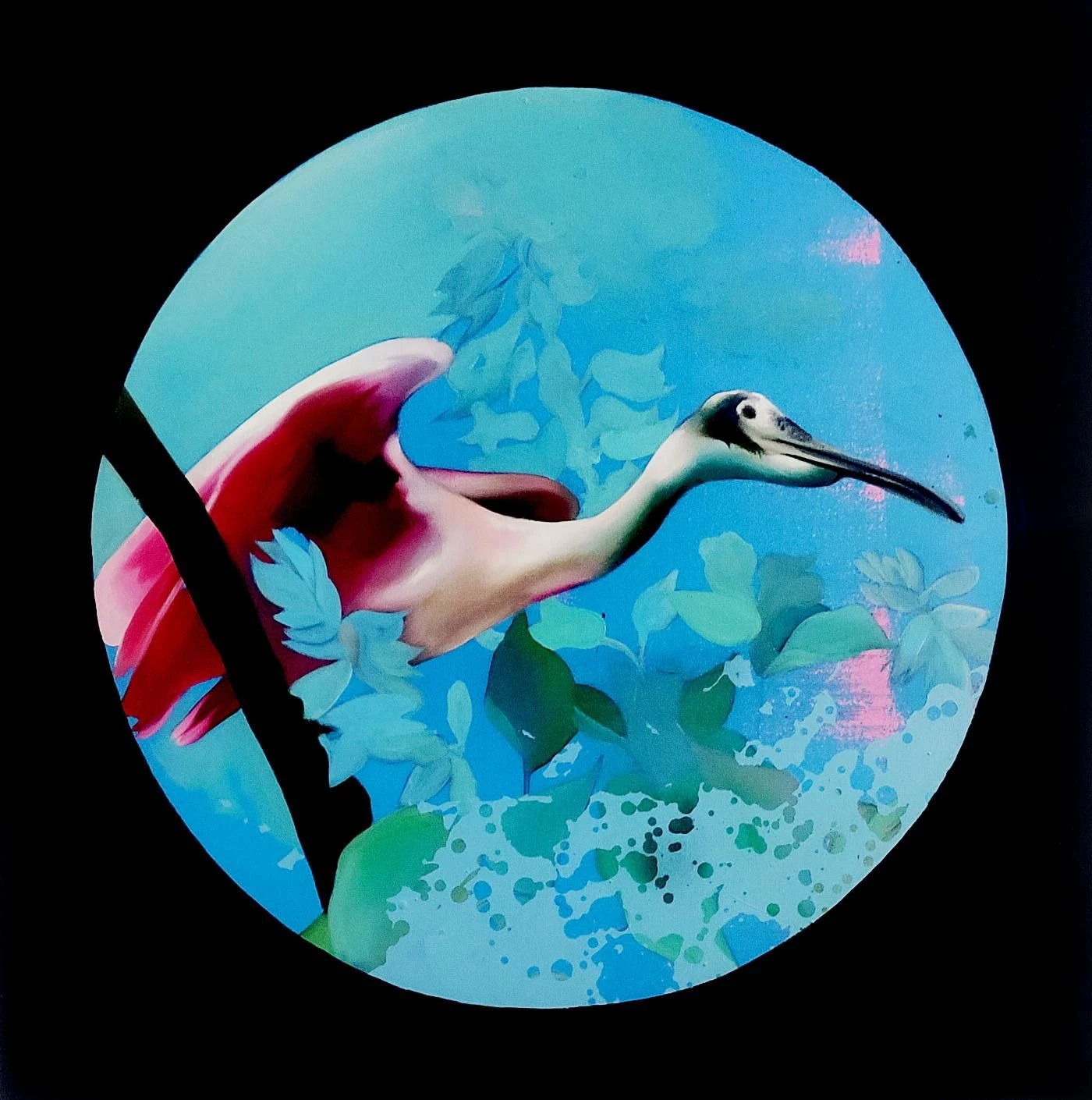 Roseate Spoonbill | Manu Munoz