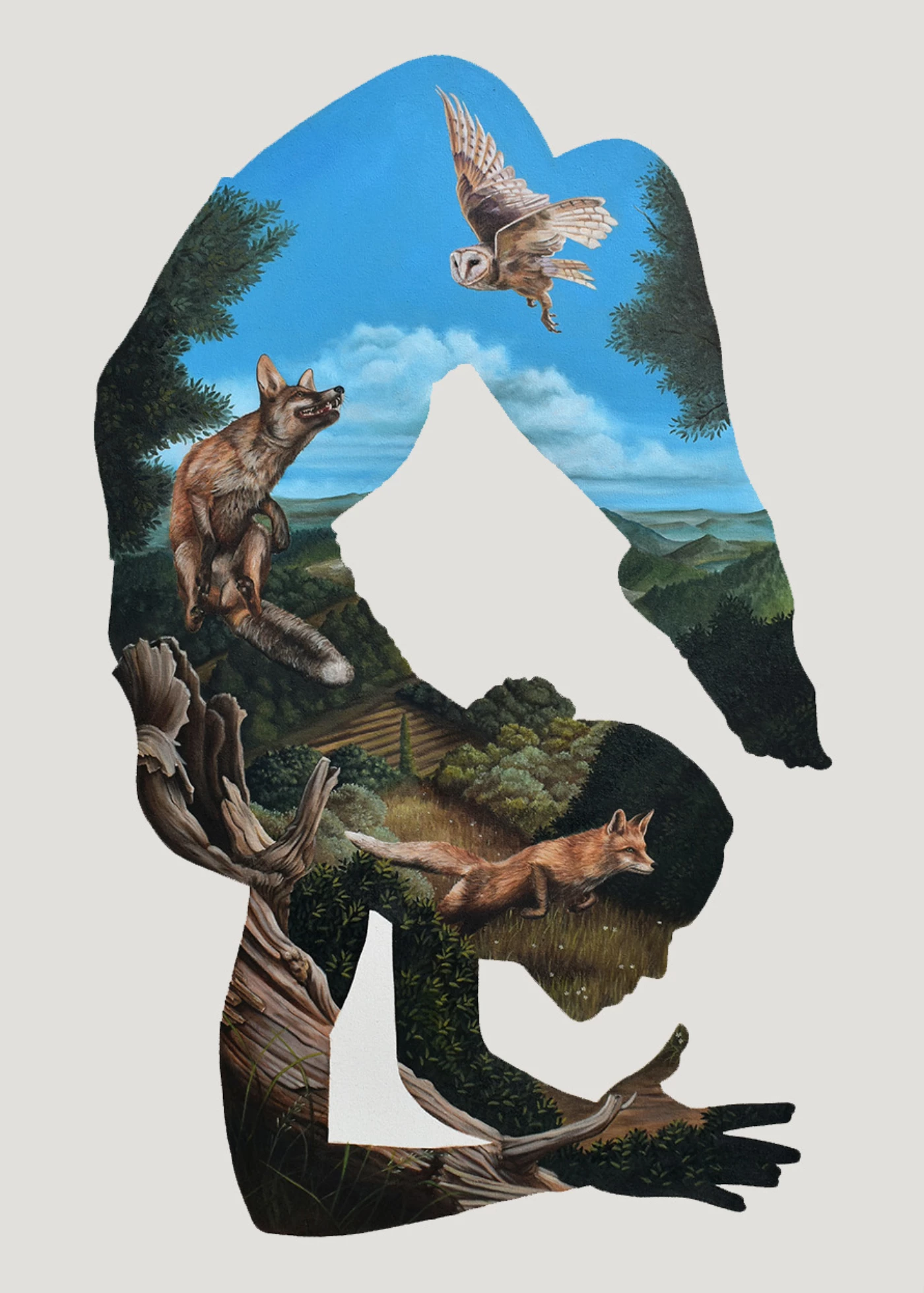 La conquista del ego