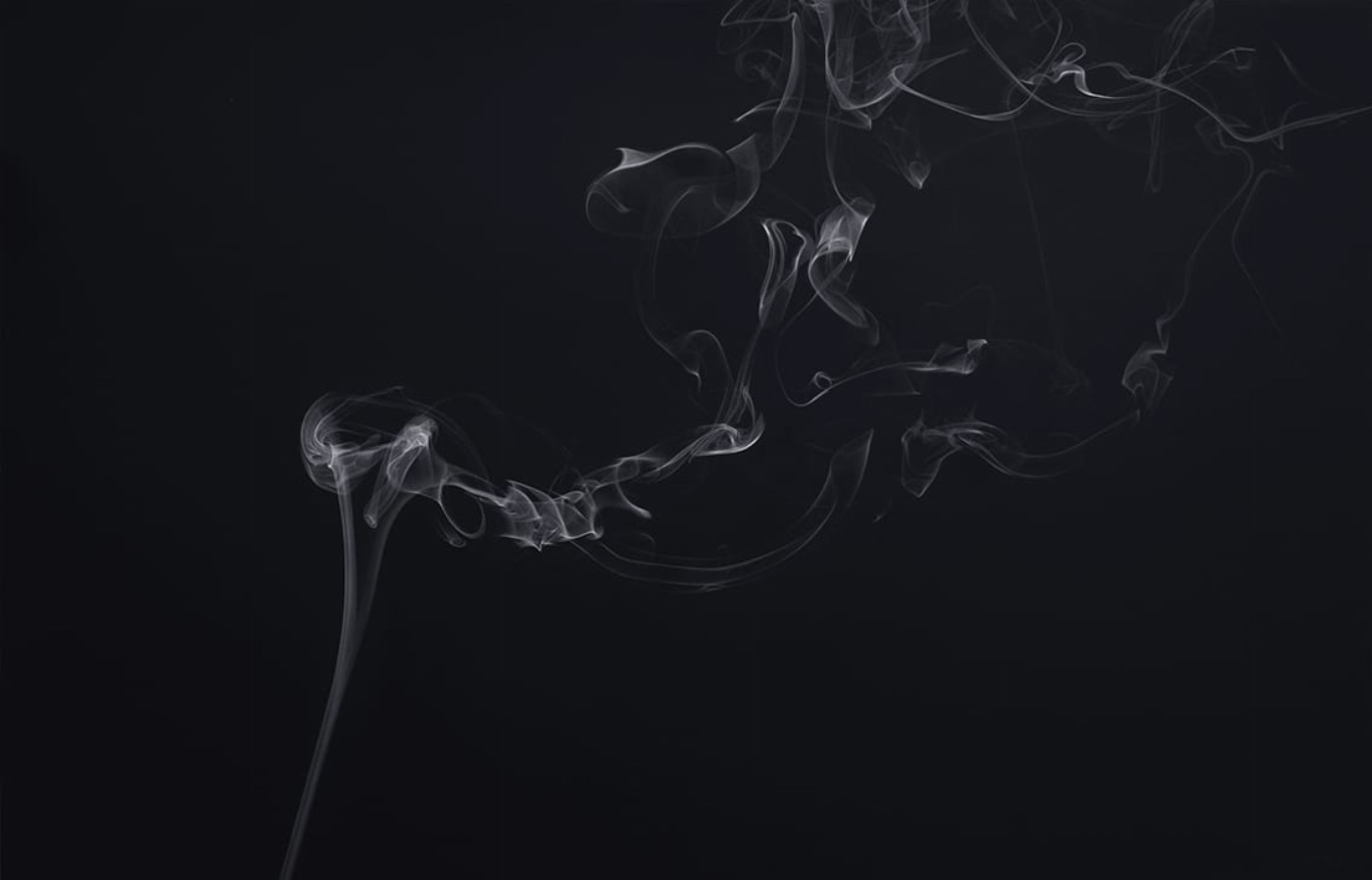 Smoke XVIII