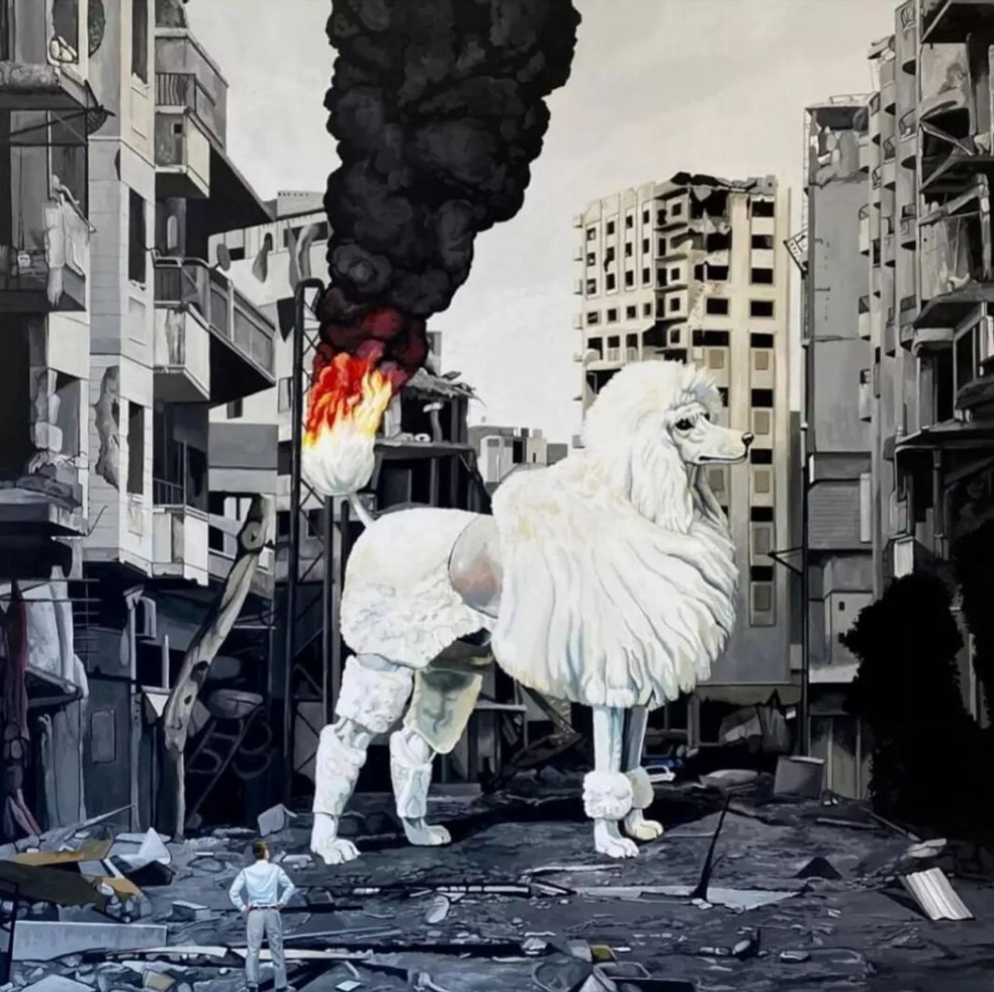 Caniche on fire