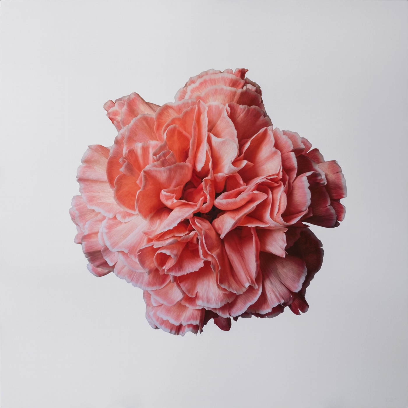 Blossoming 2 I
