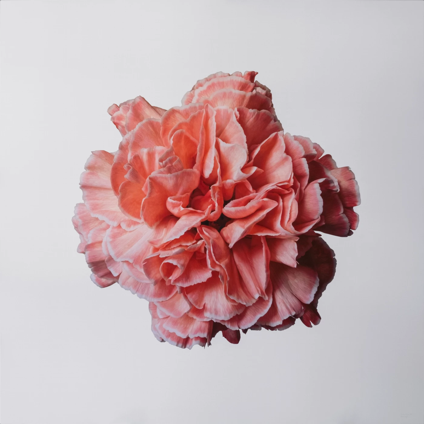 Blossoming 2 I