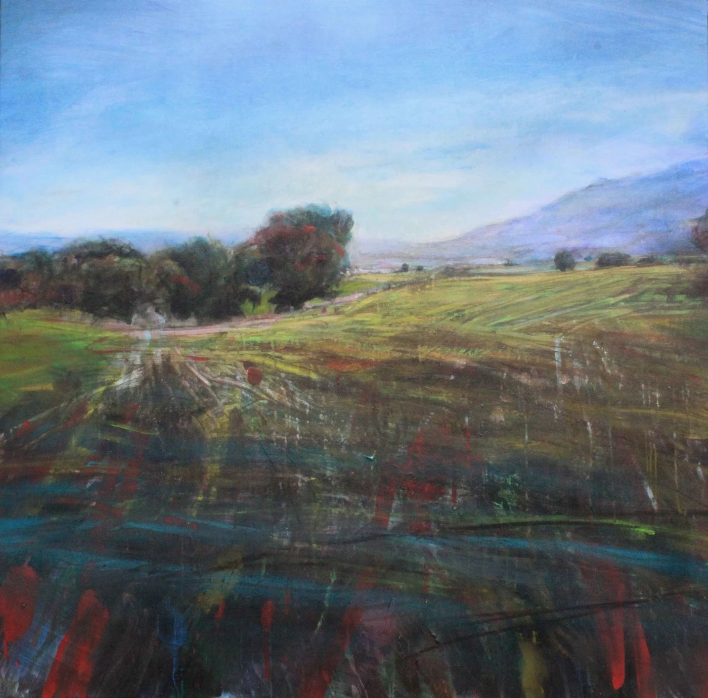 Paisaje desconfiado