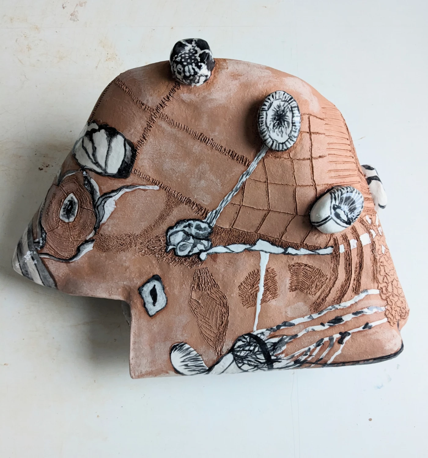 Terracota
