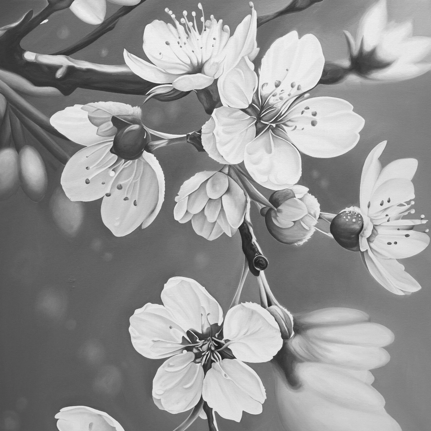 Sakura I