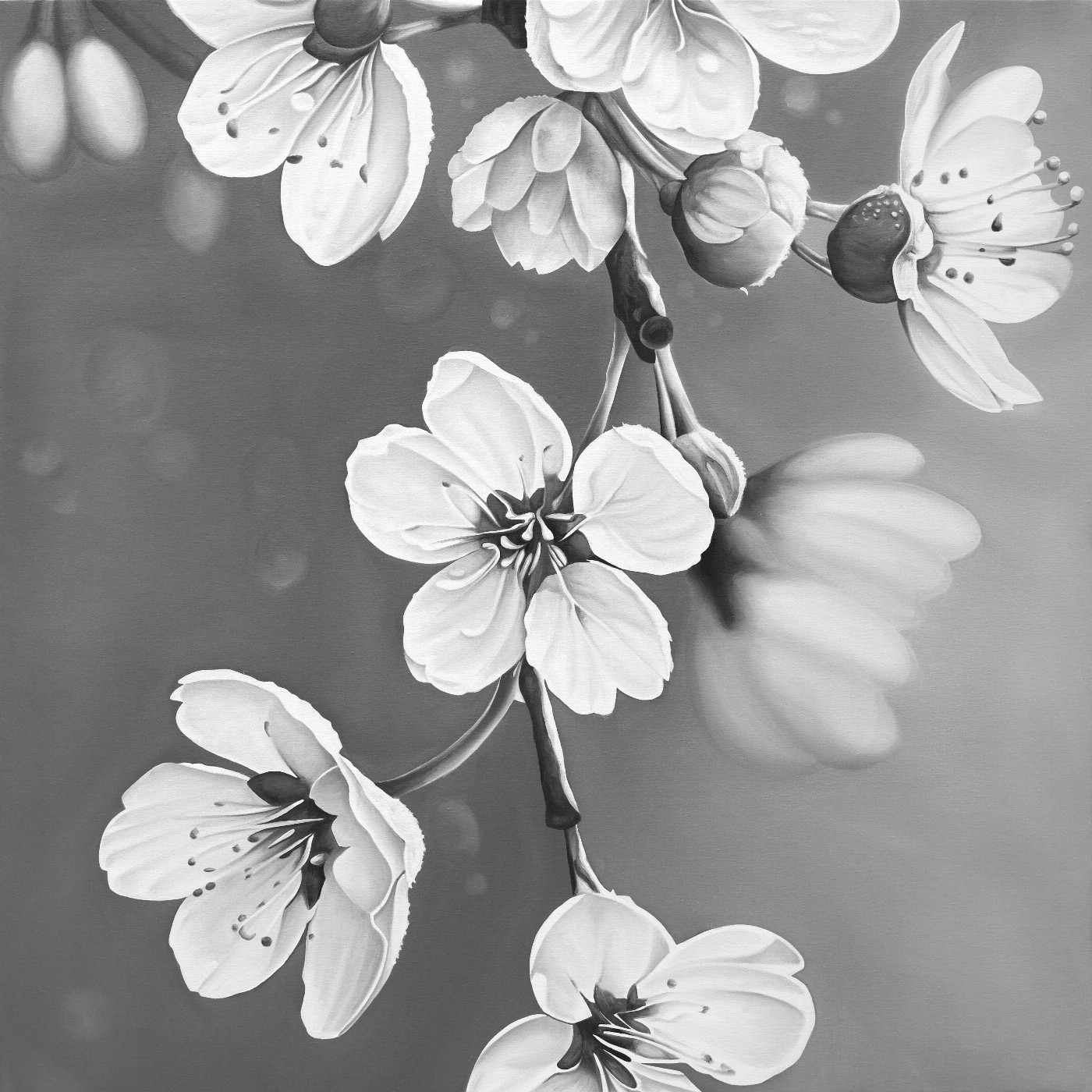 Sakura II