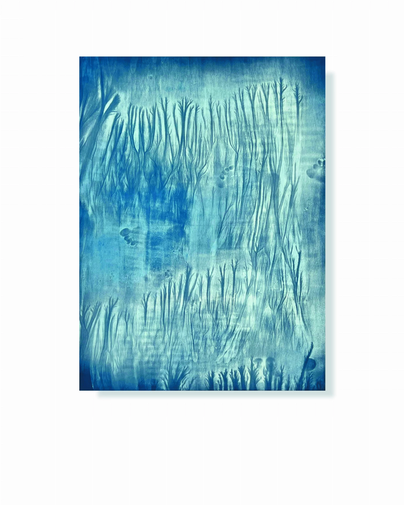 La creación
