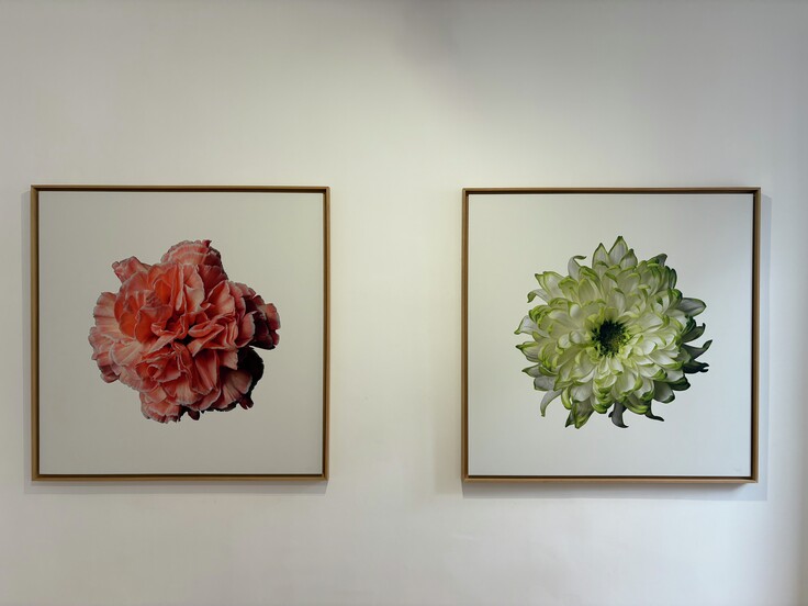 Blossoming & Digital Tenebrism