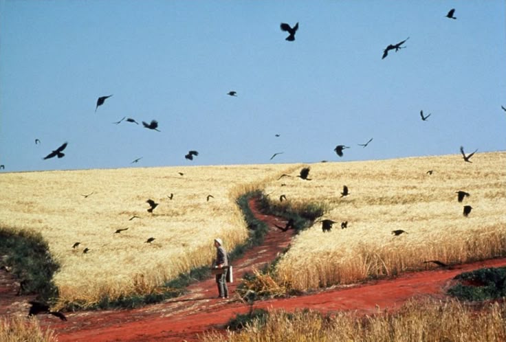 Los sueños de Akira Kurosawa (1990, dir. Akira Kurosawa)