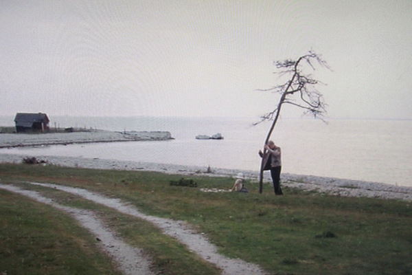 The Sacrifice (1986, dir. Andrei Tarkovsky)