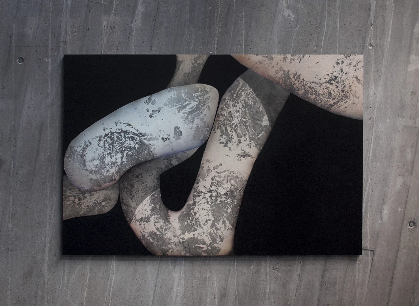 Anima Mundi 6 | Alicia Martín