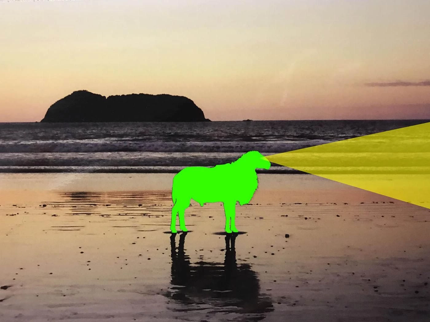 Borrego Limón | William Gaber