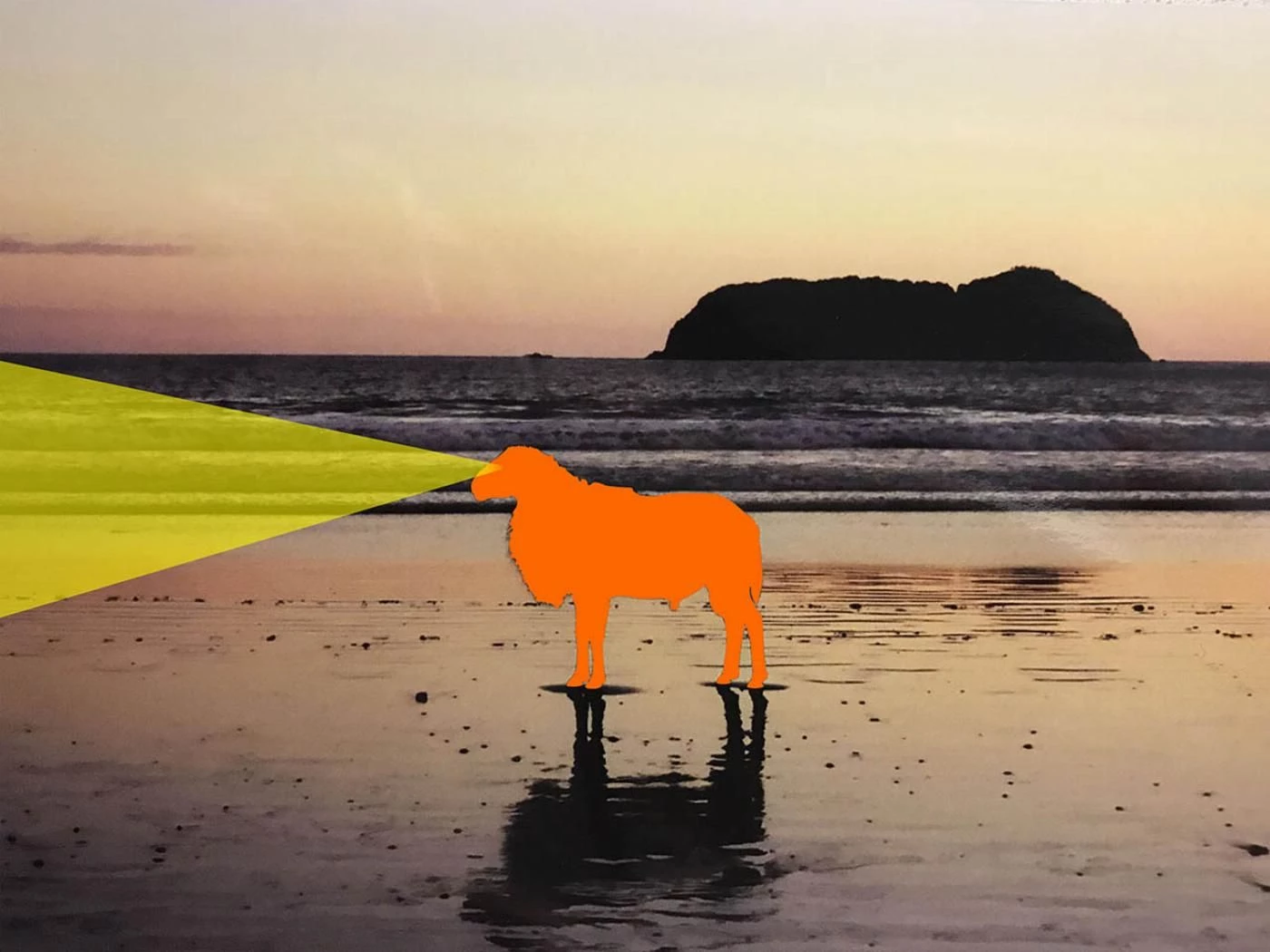 Borrego Naranja | William Gaber