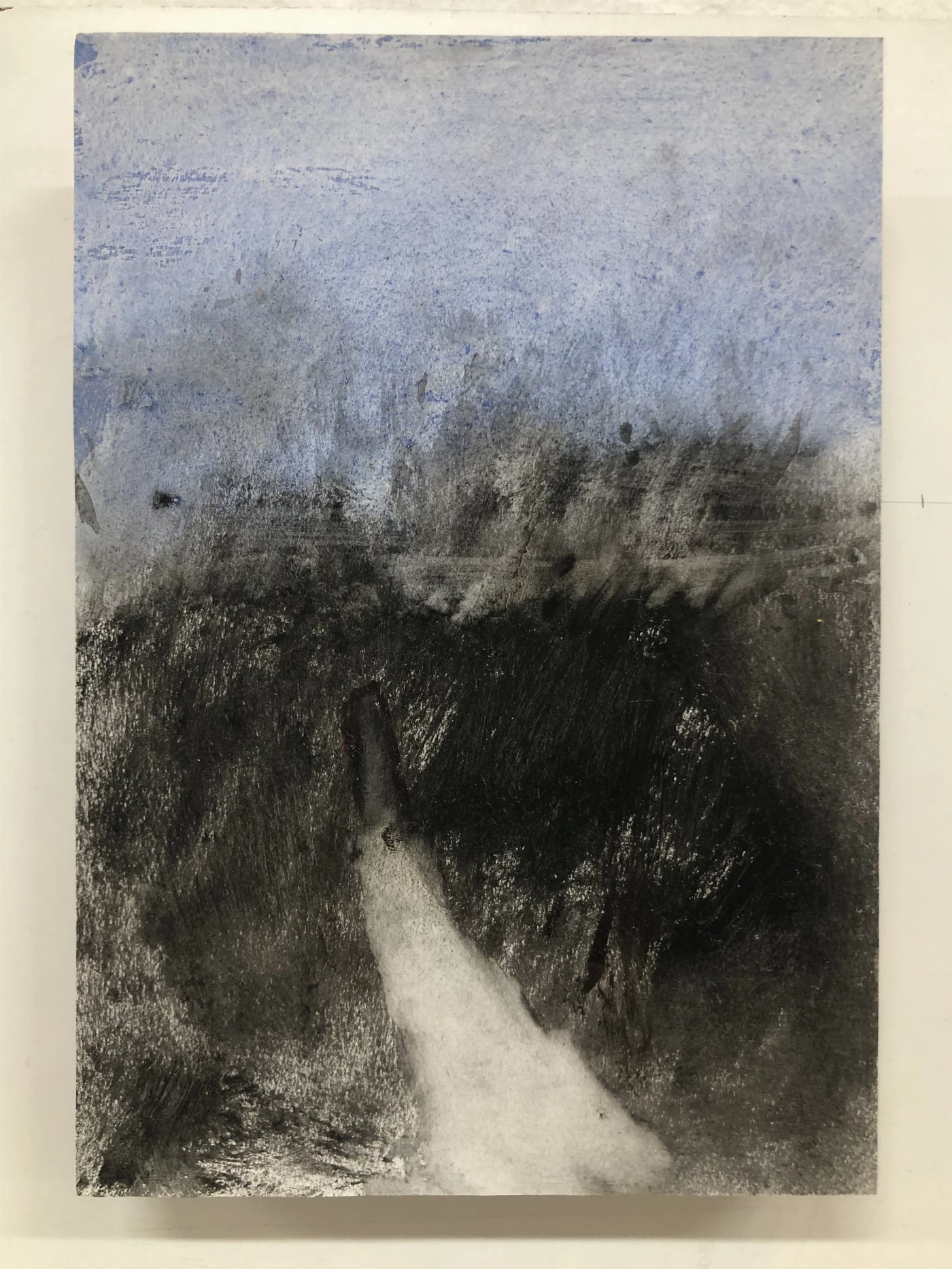 Un camino | María Argüelles