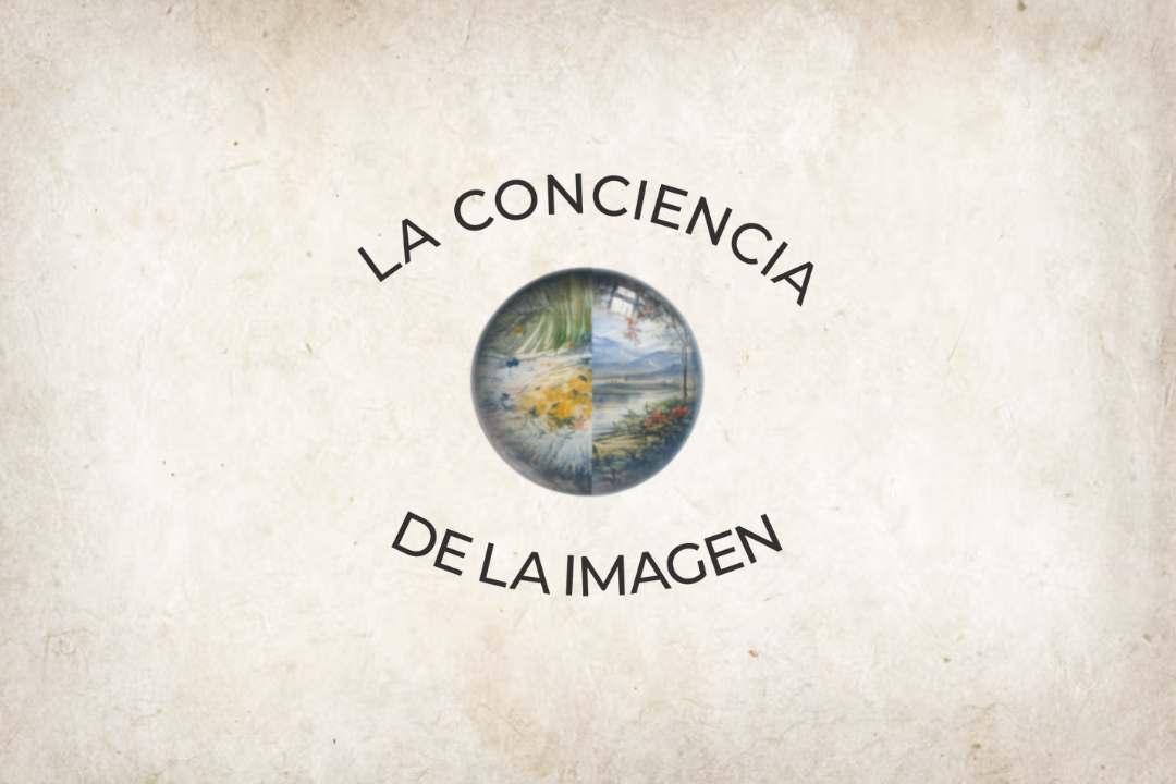 La conciencia de la imagen en S Gallery