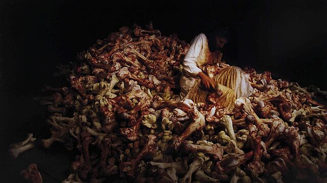 Balkan Baroque | Marina Abramović
